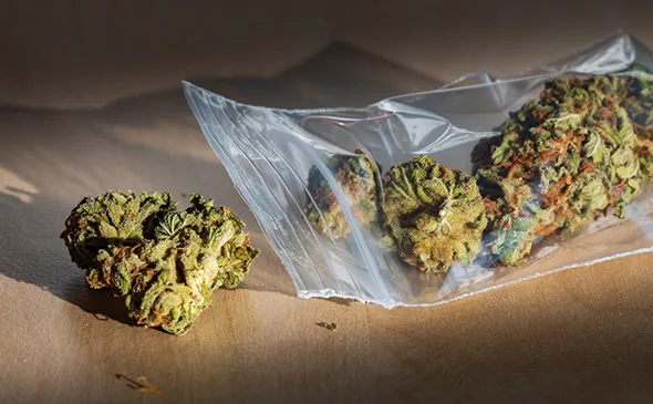 Reliable Marijuana Trafficking Bail Assistance in Richmond, IN